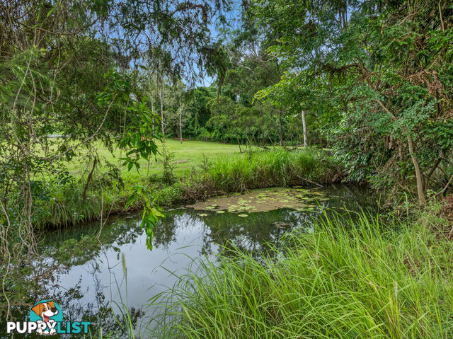 68 Hutchins Road AMAMOOR QLD 4570