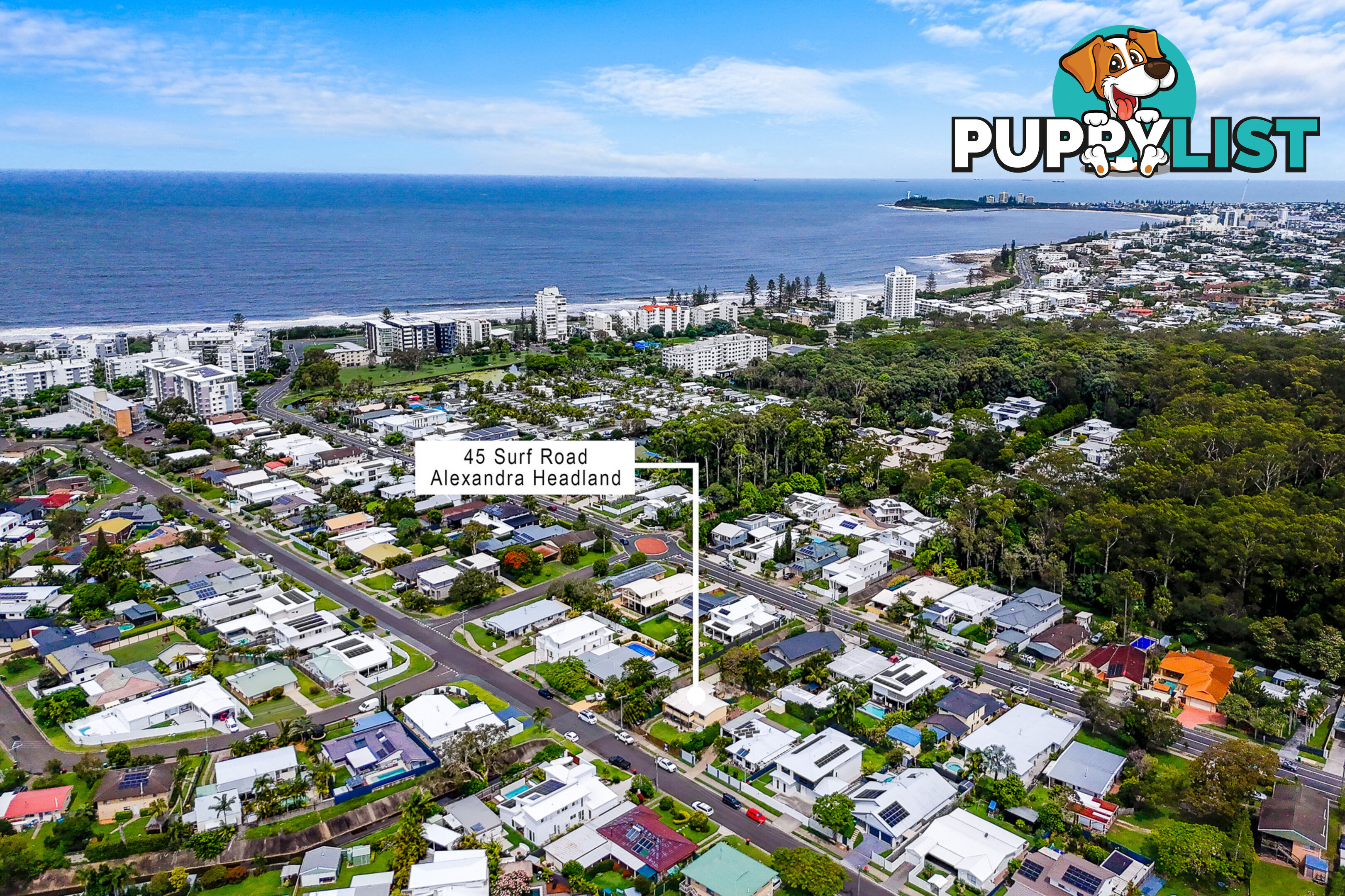 45 Surf Road ALEXANDRA HEADLAND QLD 4572