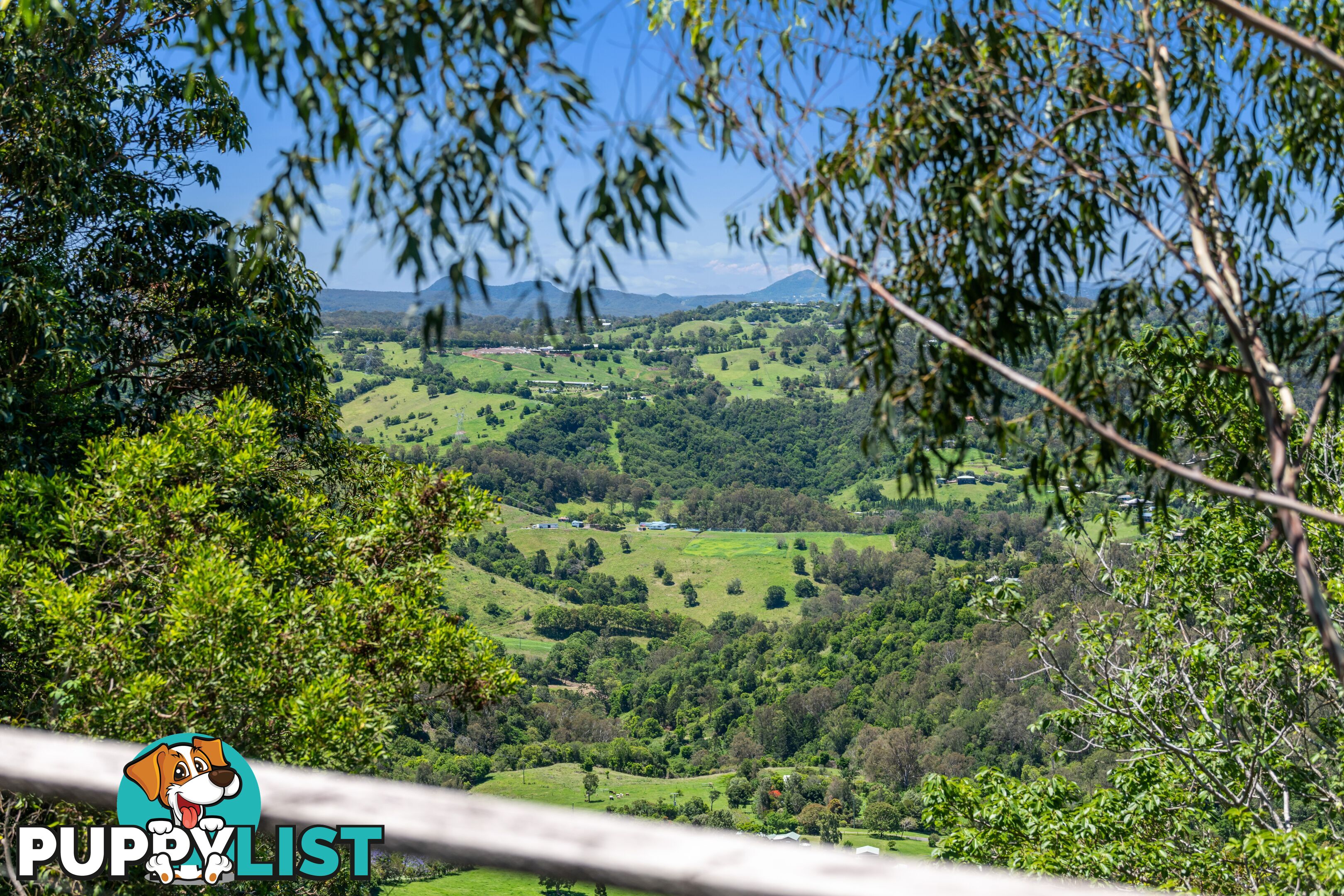 111 Main Street MONTVILLE QLD 4560