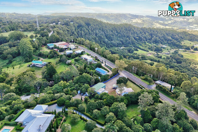 12 Balmoral Road MONTVILLE QLD 4560