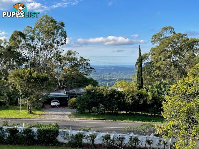 12 Balmoral Road MONTVILLE QLD 4560