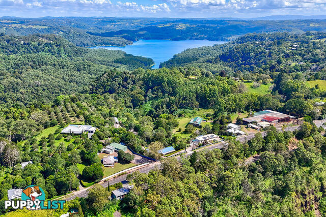 12 Balmoral Road MONTVILLE QLD 4560