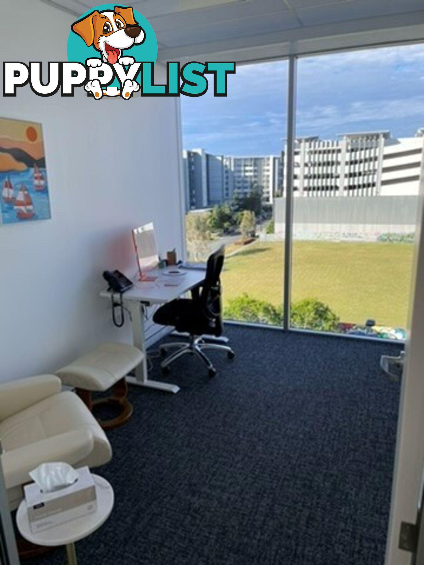 Pulse 502 11 Eccles Boulevard BIRTINYA QLD 4575