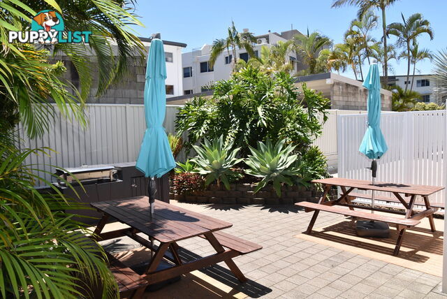 7 35 Sixth Avenue MAROOCHYDORE QLD 4558