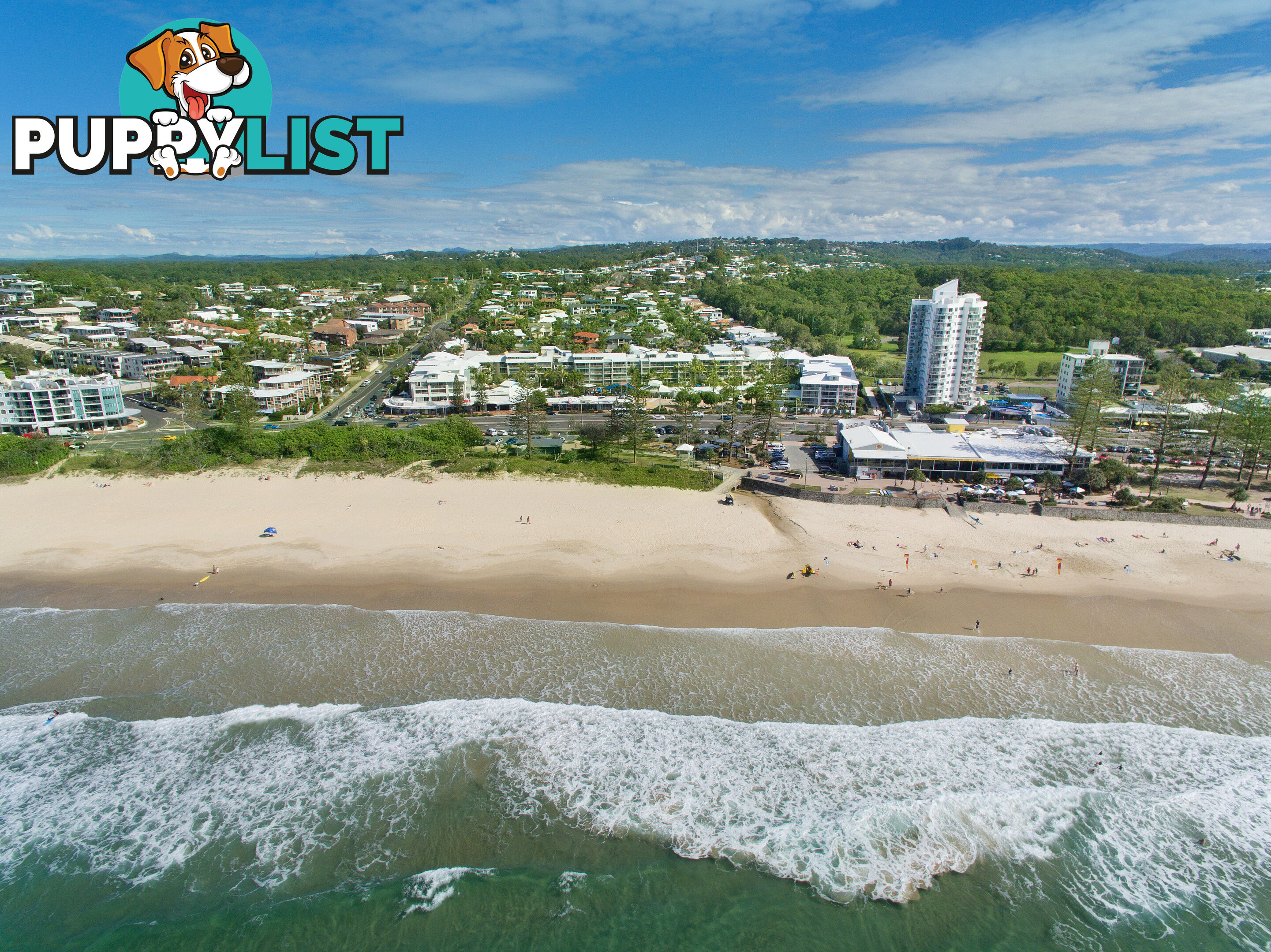 214 180 Alexandra Parade ALEXANDRA HEADLAND QLD 4572