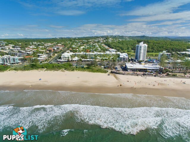214 180 Alexandra Parade ALEXANDRA HEADLAND QLD 4572