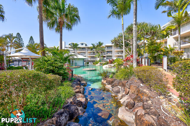214 180 Alexandra Parade ALEXANDRA HEADLAND QLD 4572