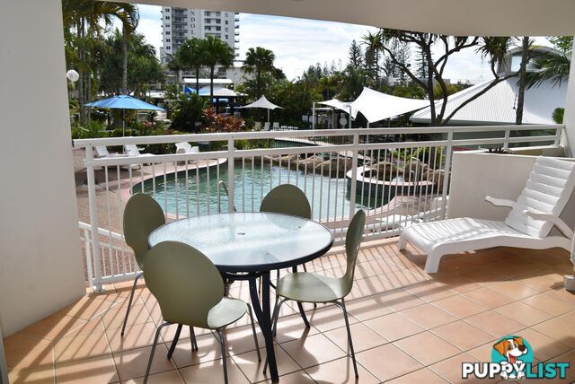 214 180 Alexandra Parade ALEXANDRA HEADLAND QLD 4572
