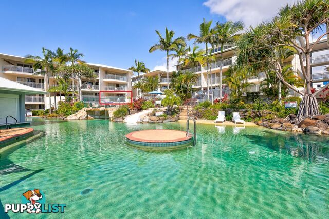 214 180 Alexandra Parade ALEXANDRA HEADLAND QLD 4572