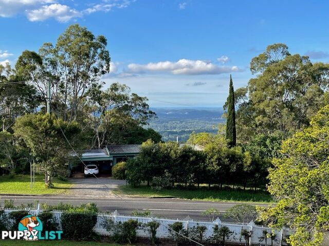 12 Balmoral Road MONTVILLE QLD 4560