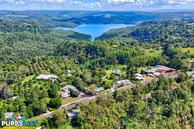 12 Balmoral Road MONTVILLE QLD 4560