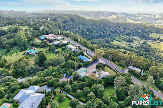 12 Balmoral Road MONTVILLE QLD 4560