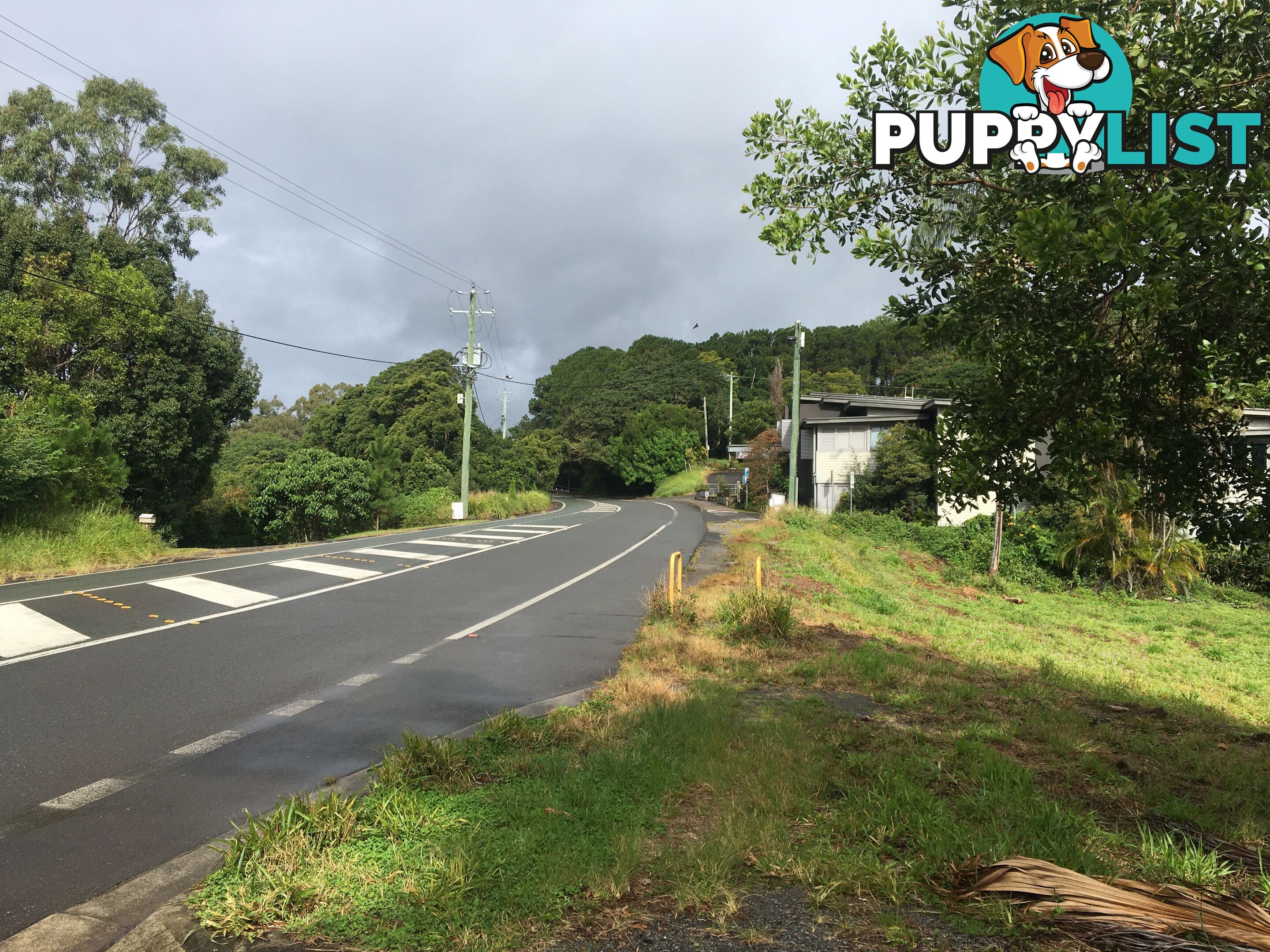 86-90 Main Street MONTVILLE QLD 4560