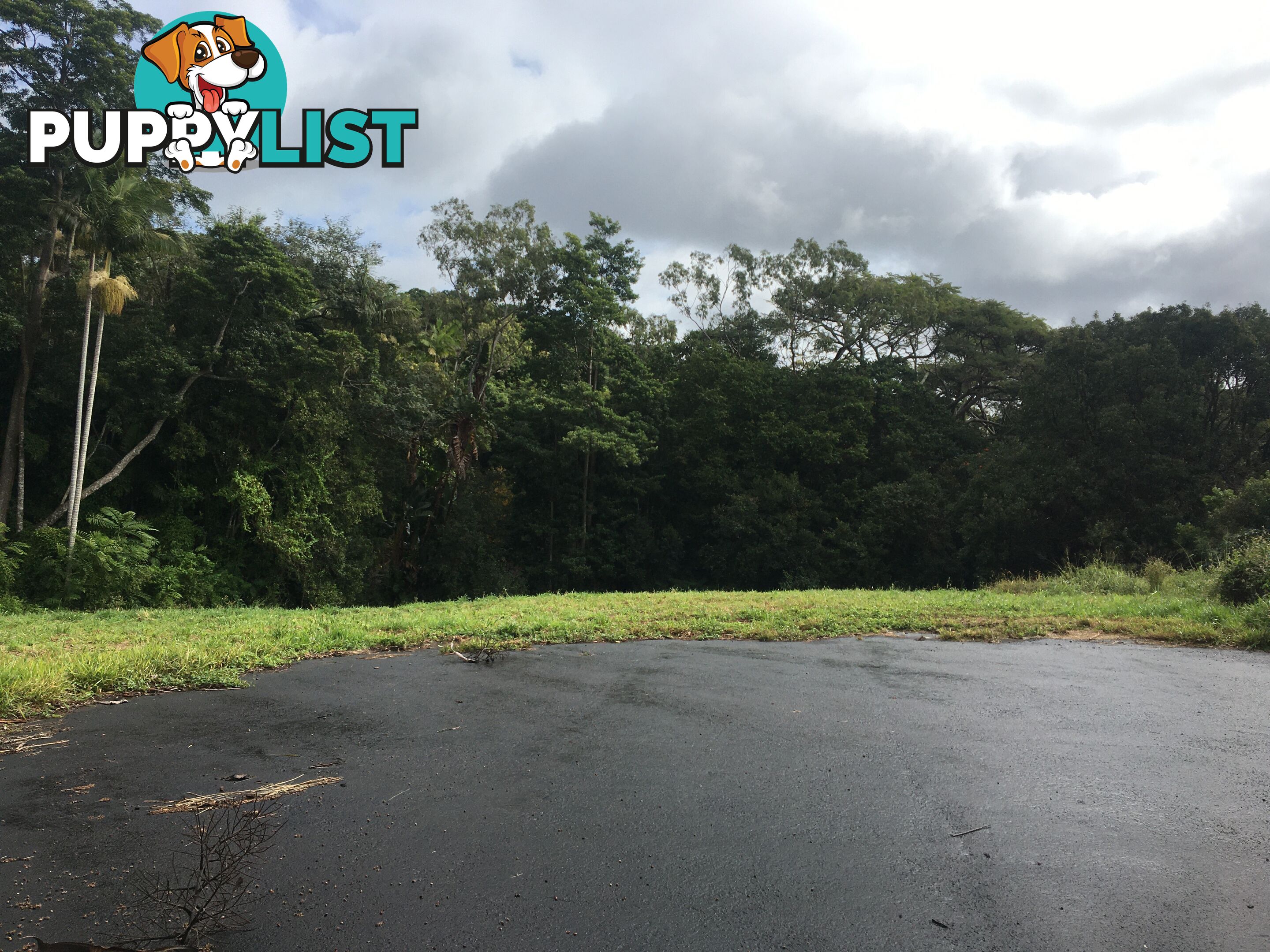 86-90 Main Street MONTVILLE QLD 4560