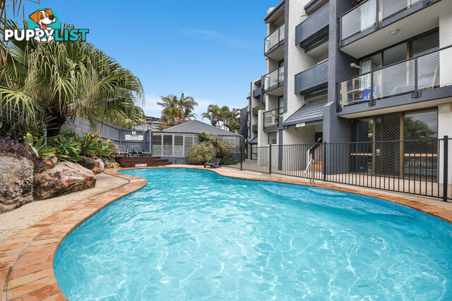 37 2 Maroubra Street MAROOCHYDORE QLD 4558