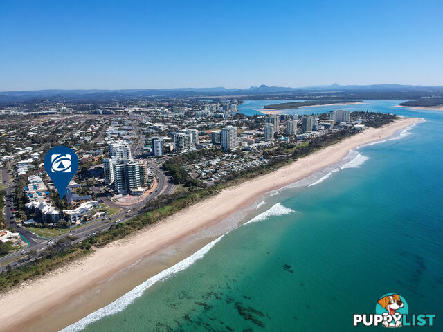 37 2 Maroubra Street MAROOCHYDORE QLD 4558