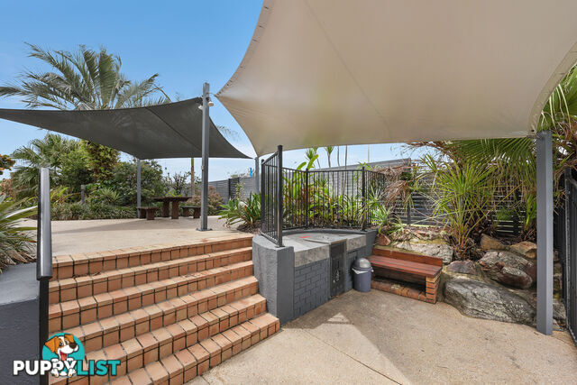 37 2 Maroubra Street MAROOCHYDORE QLD 4558