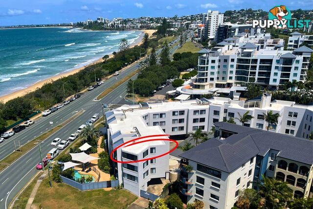 37 2 Maroubra Street MAROOCHYDORE QLD 4558