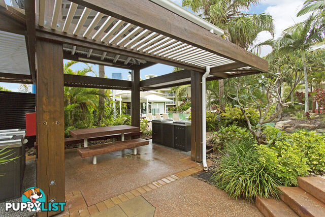 226 180 Alexandra Parade ALEXANDRA HEADLAND QLD 4572