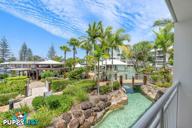 226 180 Alexandra Parade ALEXANDRA HEADLAND QLD 4572