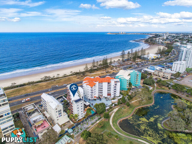 13 136-138 Alexandra Parade ALEXANDRA HEADLAND QLD 4572