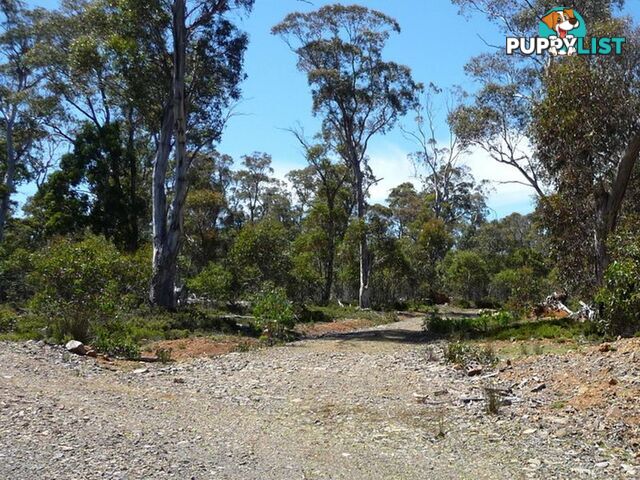 Victoria Valley Rd LONDON LAKES TAS 7140