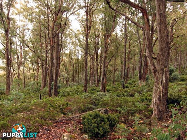 Victoria Valley Rd LONDON LAKES TAS 7140