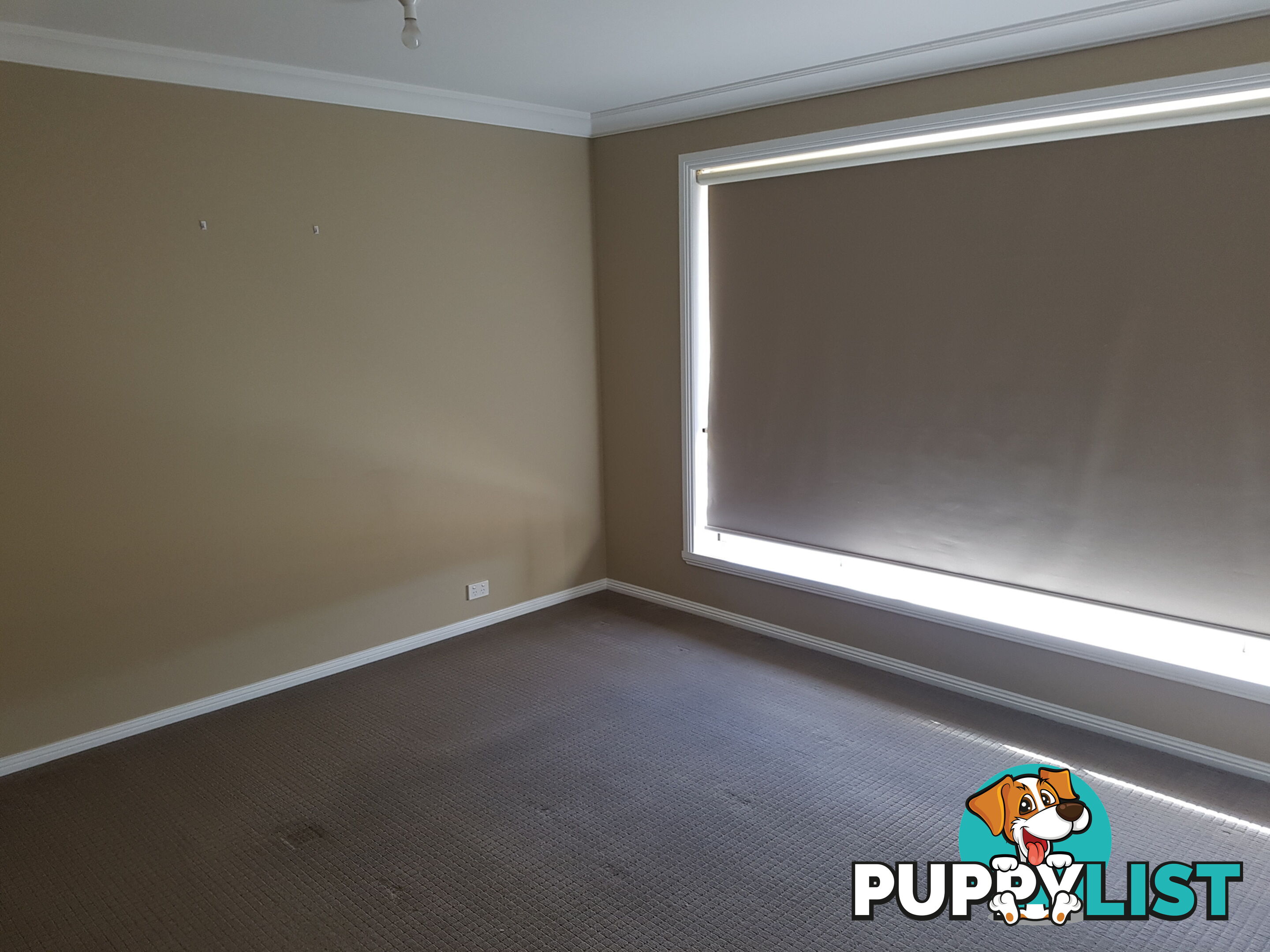 8 Dylan Street BRIGHTON TAS 7030
