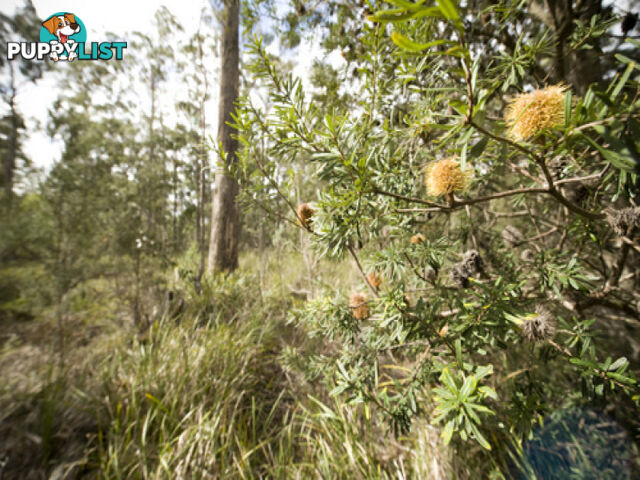 Greens Beach Road CLARENCE POINT TAS 7270