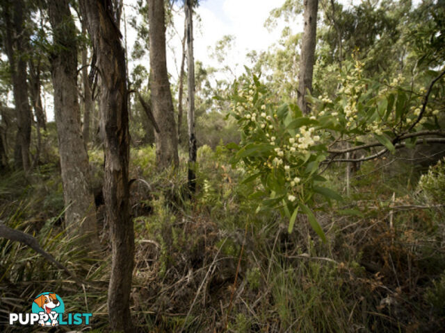 Greens Beach Road CLARENCE POINT TAS 7270