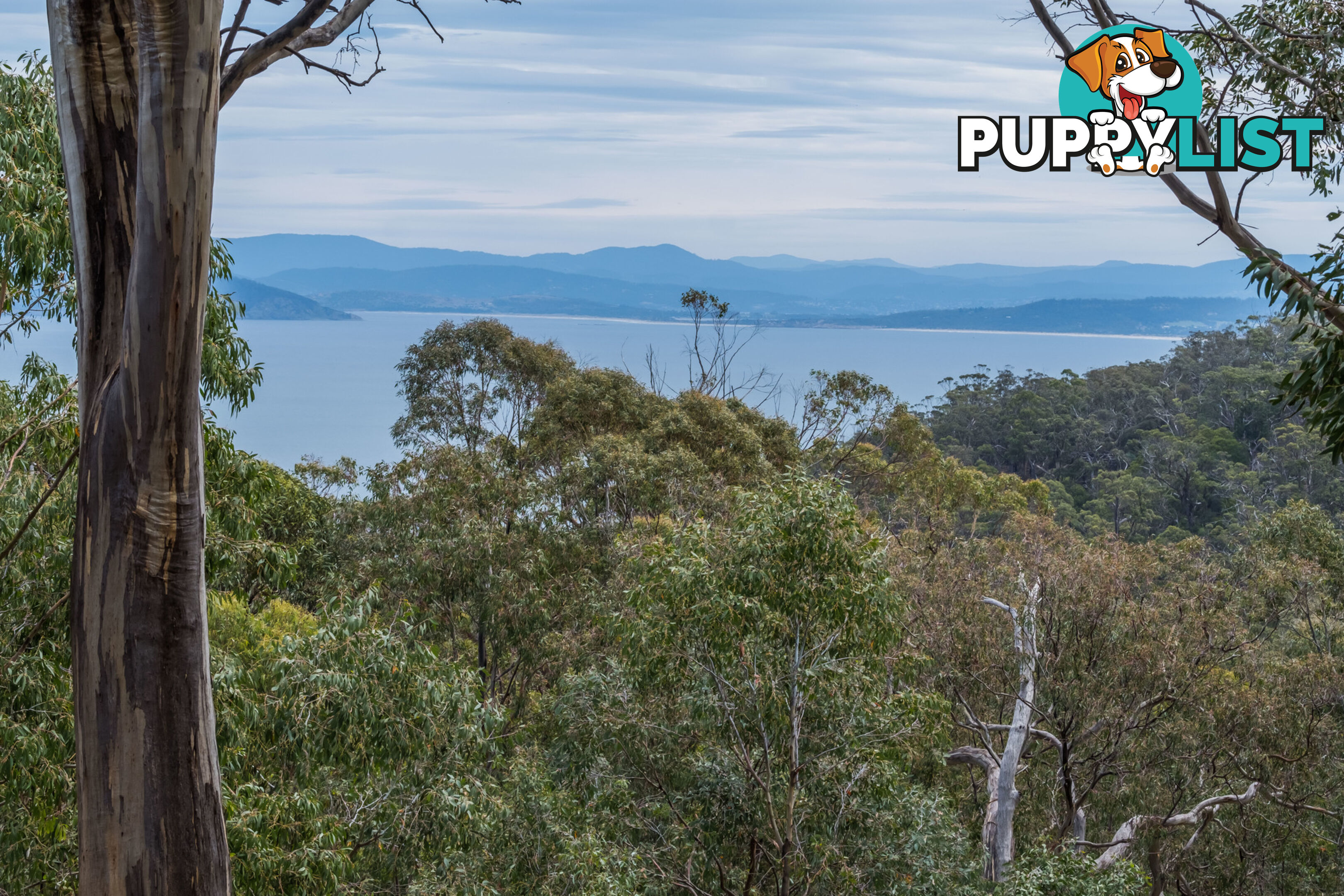 990 Roaring Beach Road NUBEENA TAS 7184