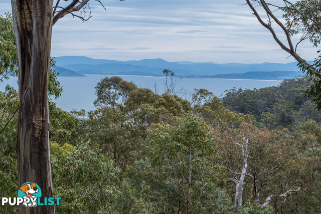 990 Roaring Beach Road NUBEENA TAS 7184