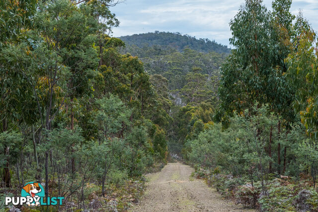 990 Roaring Beach Road NUBEENA TAS 7184