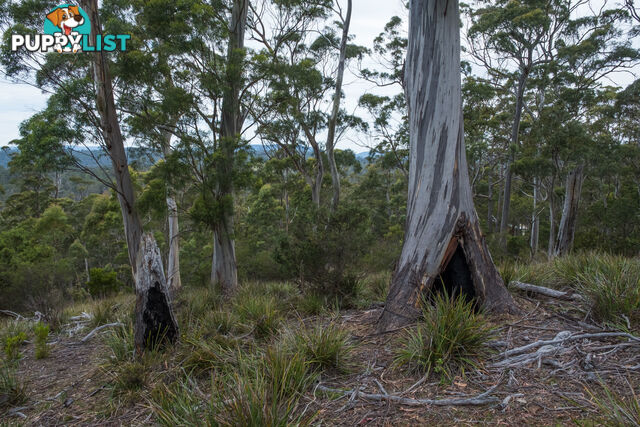 990 Roaring Beach Road NUBEENA TAS 7184