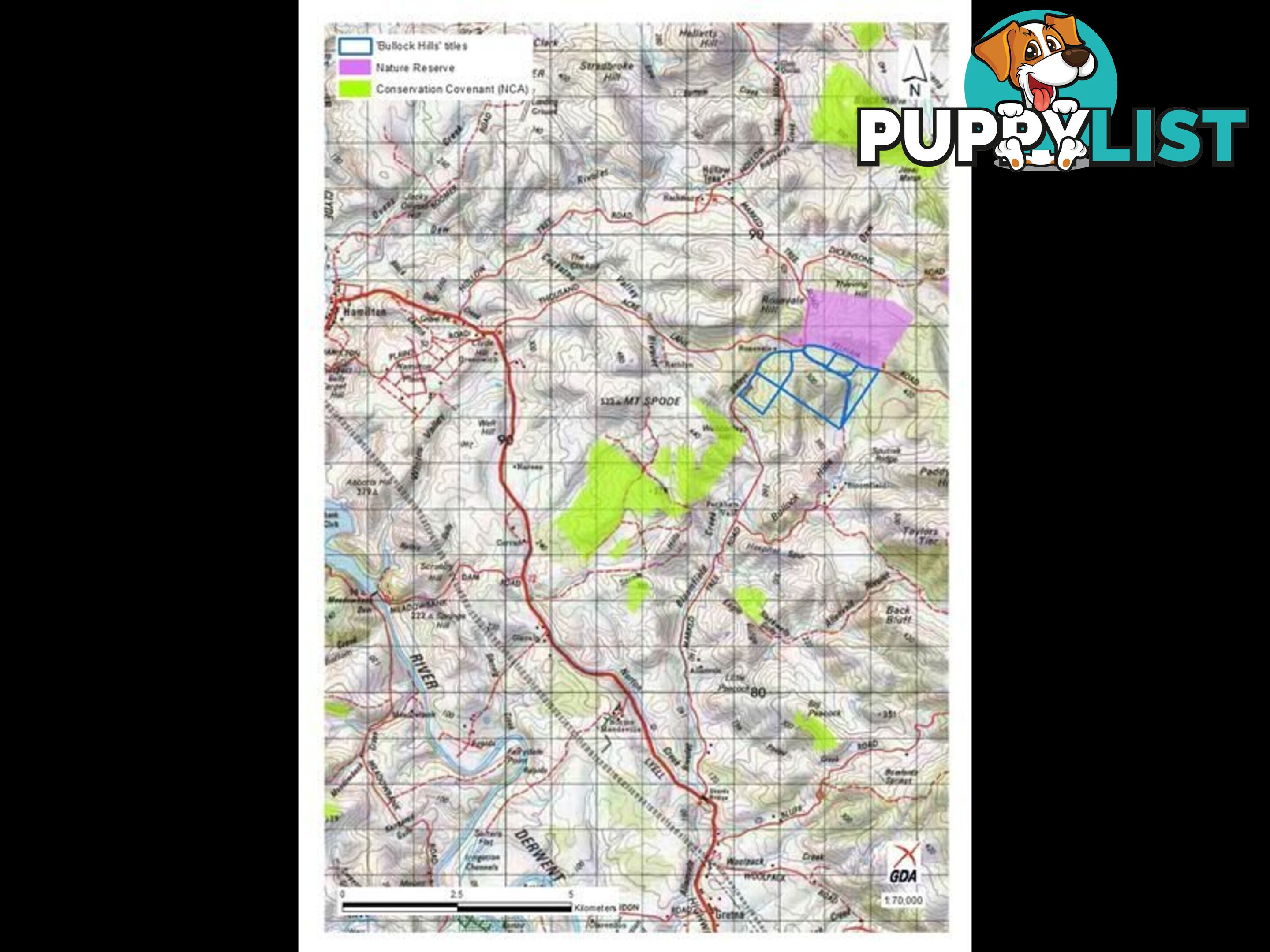 Lot 5 and 6/1190 Marked Tree Road HOLLOW TREE TAS 7140