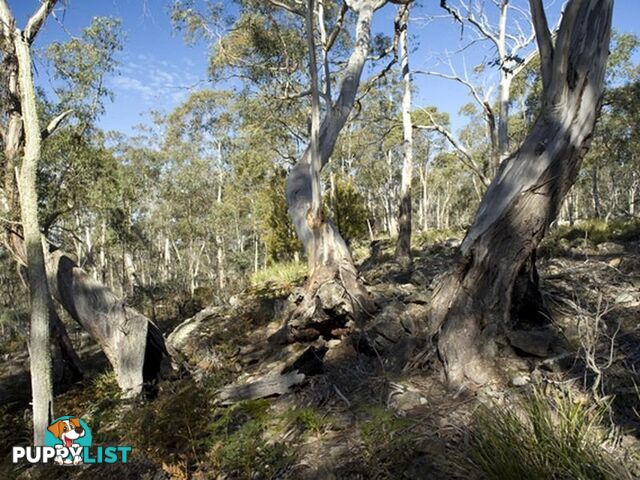 Lot 5 and 6/1190 Marked Tree Road HOLLOW TREE TAS 7140