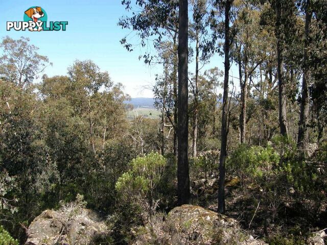 Victoria Valley Rd LONDON LAKES TAS 7140