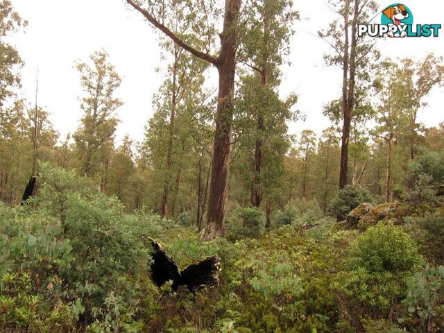 Victoria Valley Rd LONDON LAKES TAS 7140