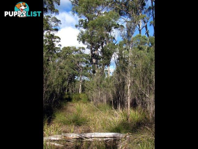 Greens Beach Rd CLARENCE POINT TAS 7270