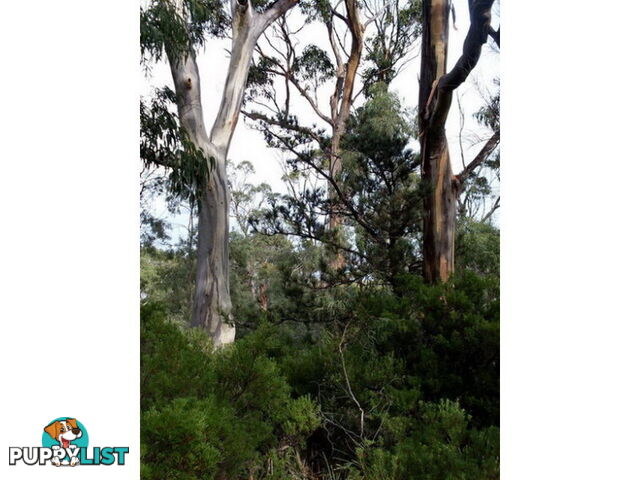 Roaring Beach Road NUBEENA TAS 7184