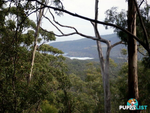 Roaring Beach Road NUBEENA TAS 7184