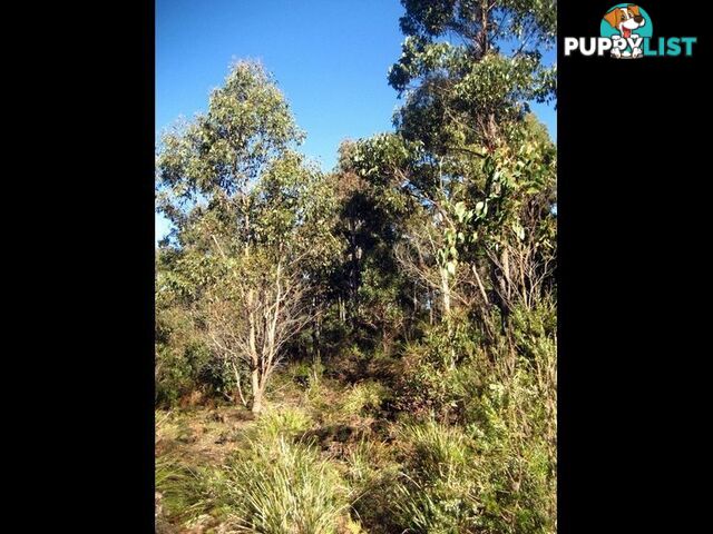 Prossers Rd NUNAMARA TAS 7259