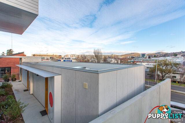 1 and 3/95 Brooker Avenue HOBART TAS 7000