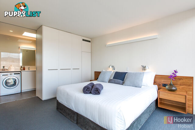1 and 3/95 Brooker Avenue HOBART TAS 7000