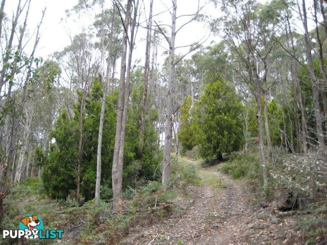 Gordon Riv Road NATIONAL PARK TAS 7140