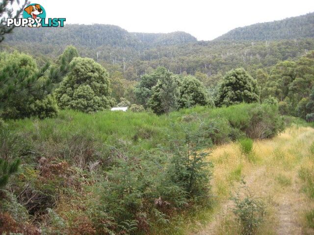 Gordon Riv Road NATIONAL PARK TAS 7140