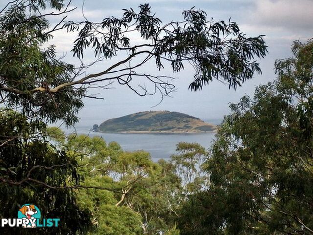 Roaring Beach Road NUBEENA TAS 7184