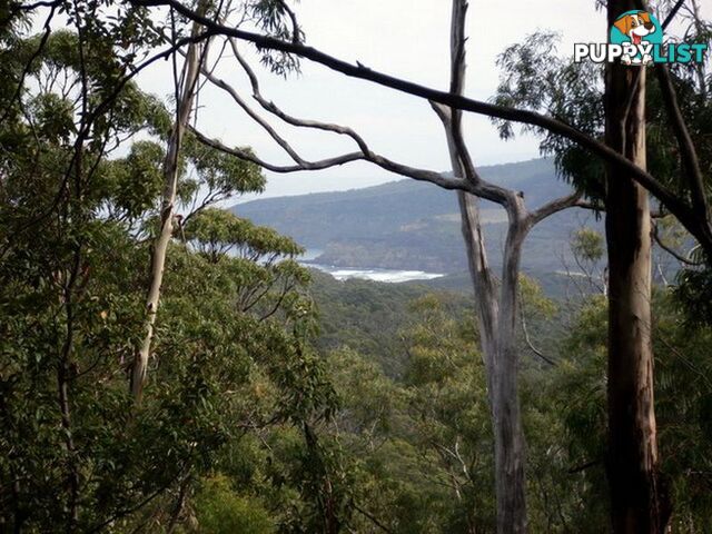 Roaring Beach Road NUBEENA TAS 7184