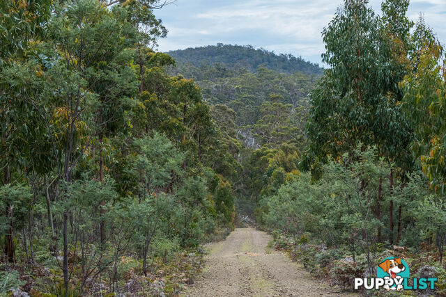 990/ Roaring Beach Road NUBEENA TAS 7184