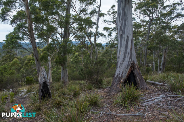 990/ Roaring Beach Road NUBEENA TAS 7184